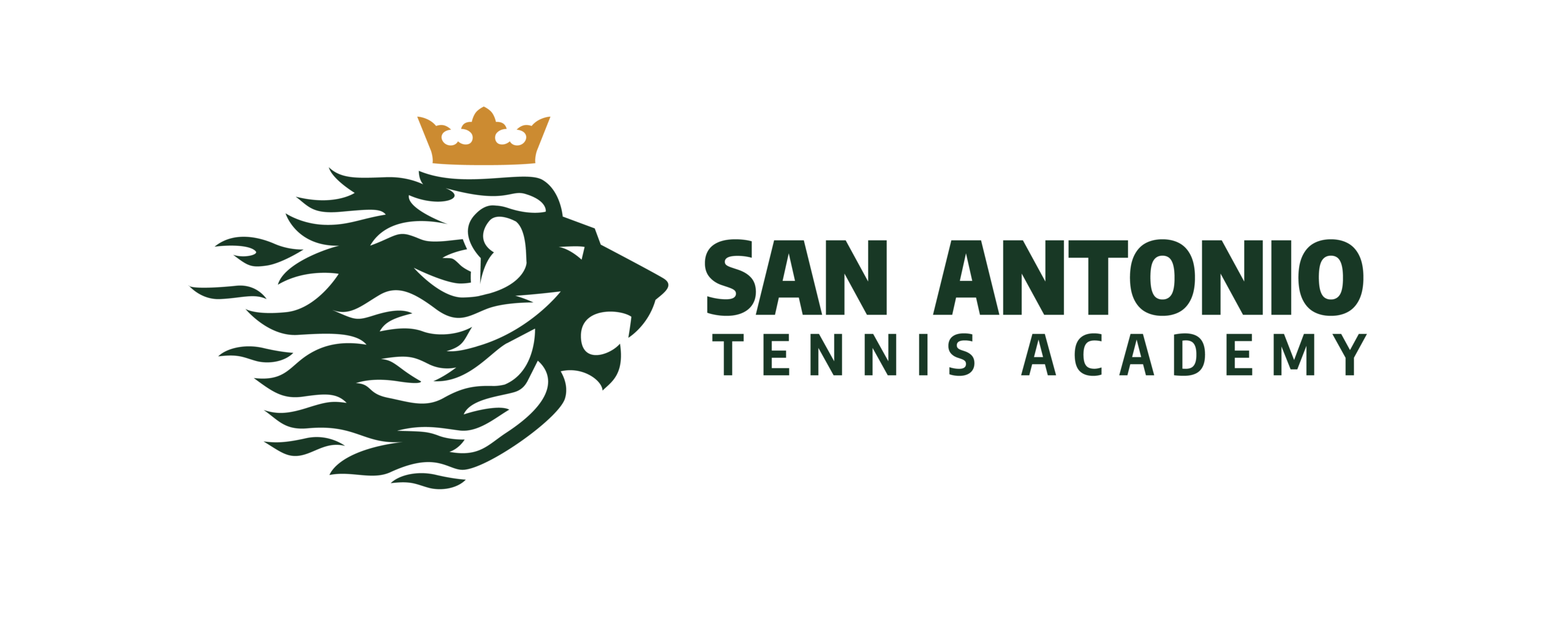 Logo-SATennisAcademy
